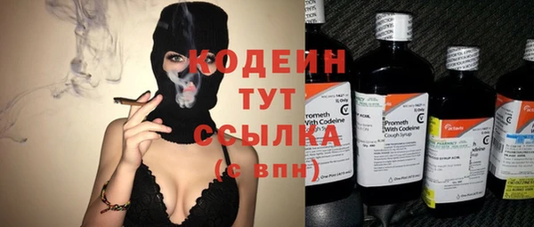 прущие грибы Покровск
