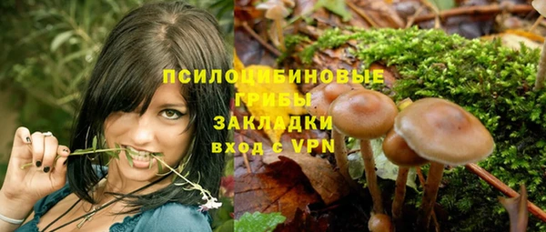 spice Белокуриха