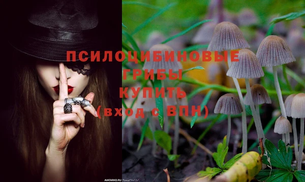 spice Белокуриха
